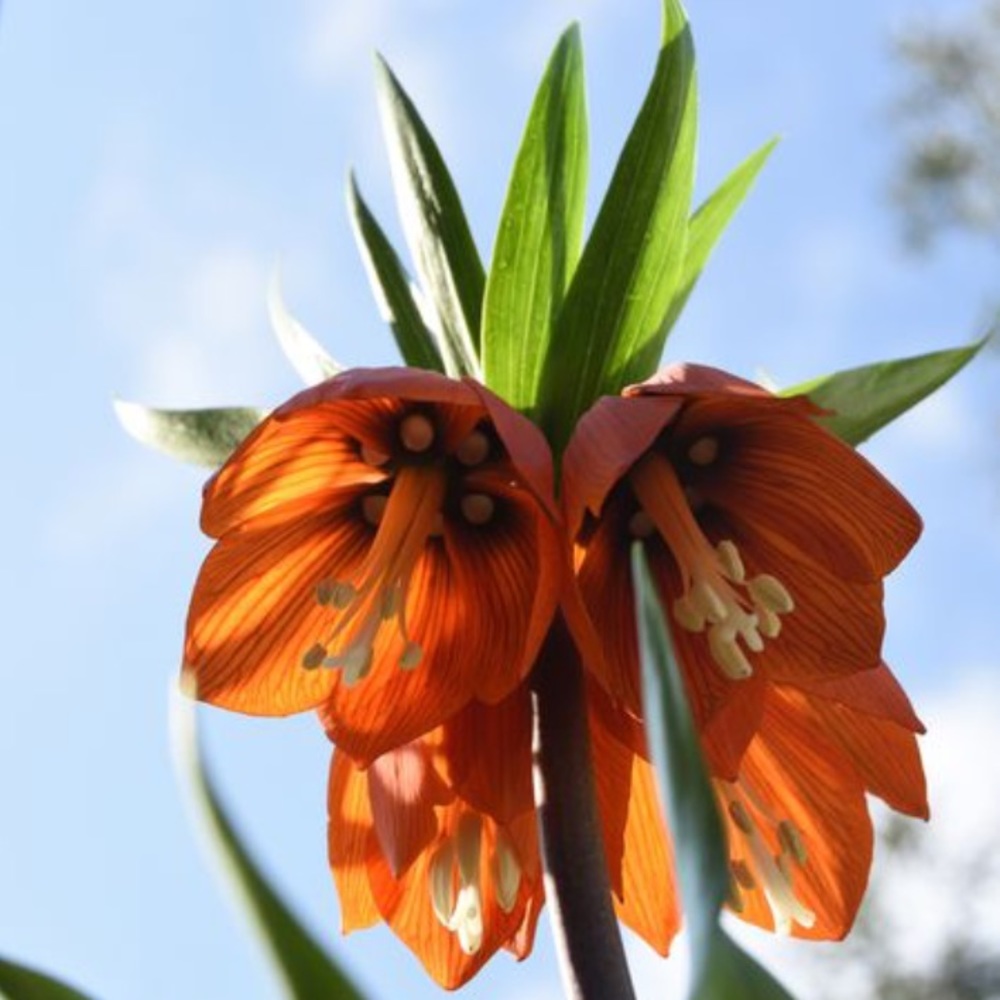 Not selling anything.